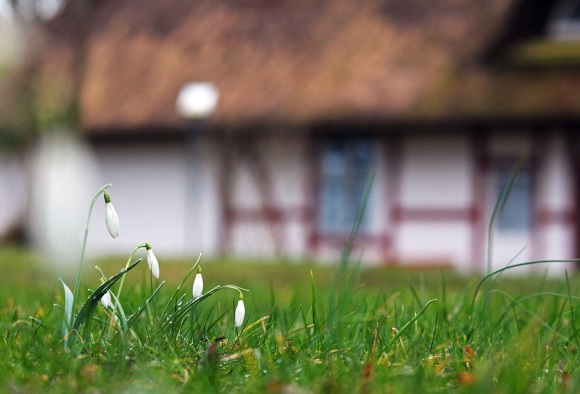 很长很好听的QQ网名(精选250个)