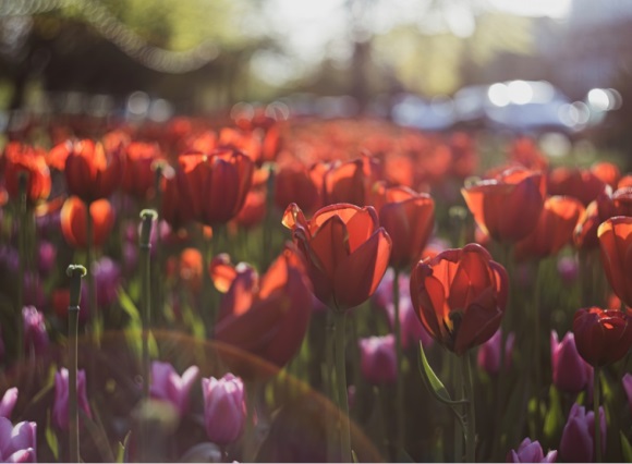 经典的帮会名字(352个)