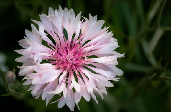 很丧的失恋男生网名(314个)