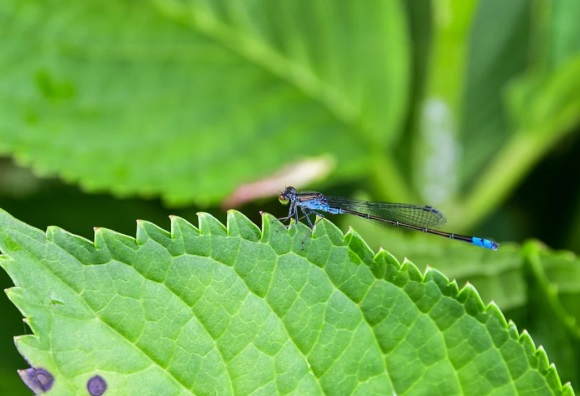 没人知道的繁体游戏名(330个)