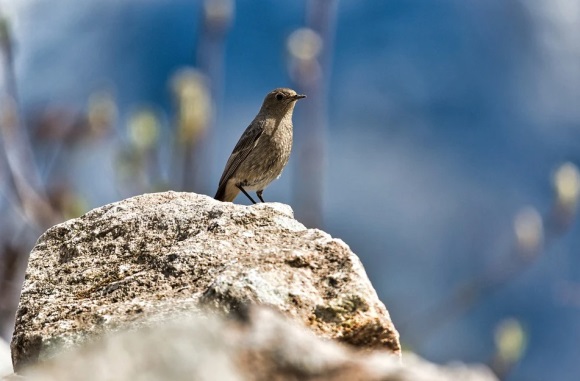 漂亮带特殊符号的网名(共274个)