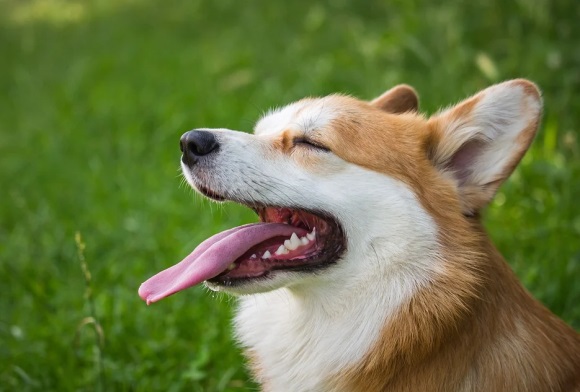 漂亮好看的英雄联盟女生名字大全(精选350个)