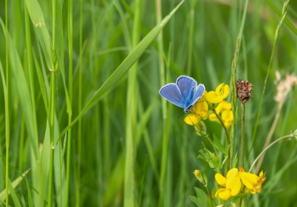 四字的诗意古风网名