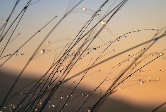 对小朋友的美好祝愿 送给小朋友的祝福语(精选54句)