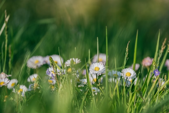 好听的情侣昵称两个字(共274个)