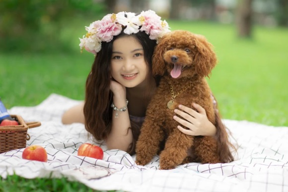 七八个字的网名(共217个)