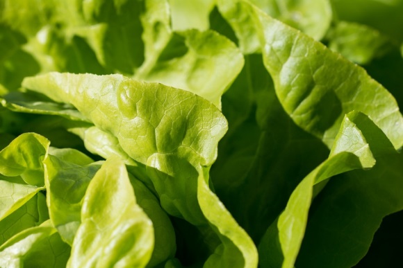 诛仙人物女好听名字(优选307个)