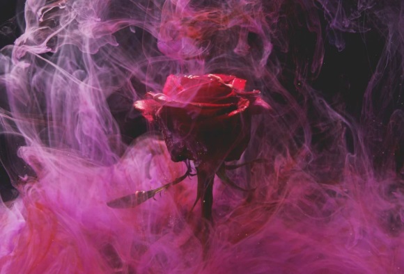 让人一眼就心动的宝藏网名(优选308个)