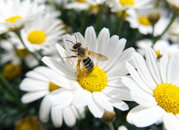 全新好看的情侣昵称两个字(共559个)