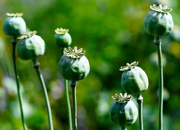 最有情感的网名(优选255个)