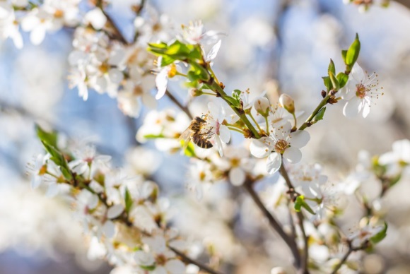 拽到爆的女生网名(精选215个)