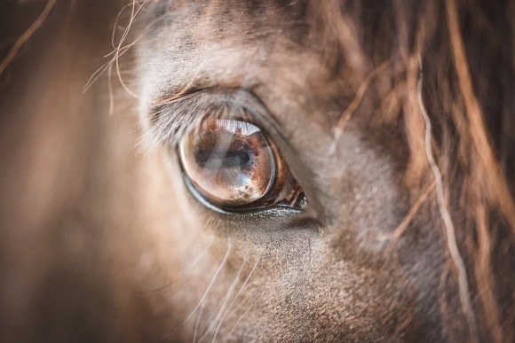 一辈子不用改的网名(精选311个)