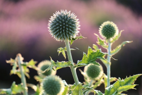 心中的你qq网名(优选302个)