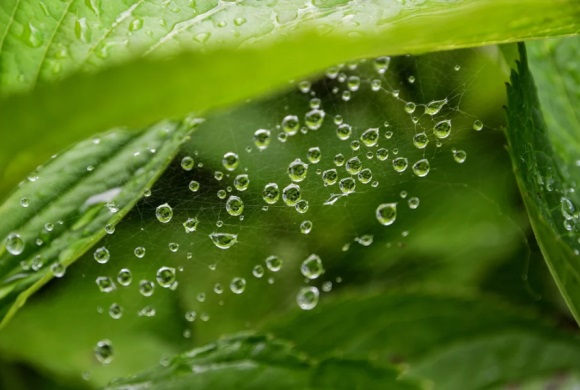 冷酷的网名个性昵称(314个)