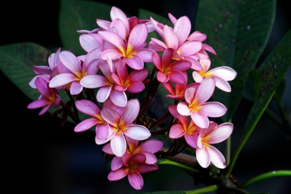 新鲜出炉的沙雕网名(优选282个)