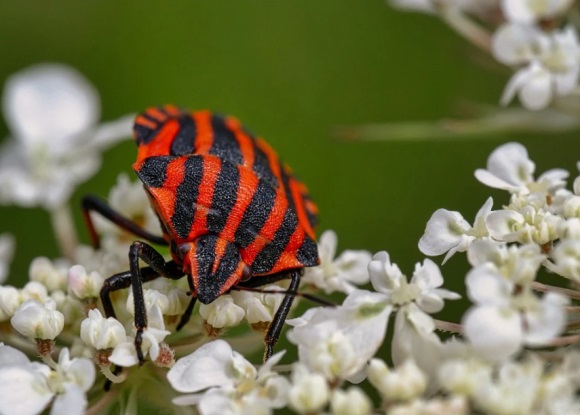 最心酸的2字女网名(399个)