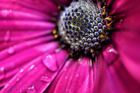 dedecms中将系统的data目录迁移到web以外目录的方法