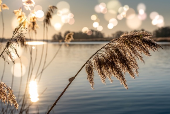 有深度的高情商自嘲句子简短(精选68句)