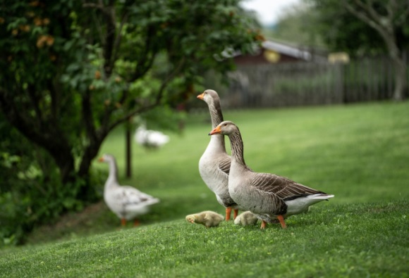 微信说说心情句子简短(精选71句)