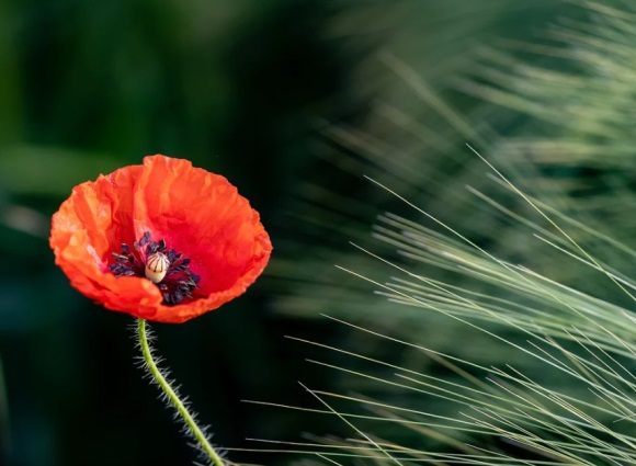 2024最火文案短句 ins高级感文案(精选79句)