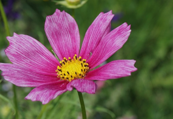 预祝生活美好的话语 祝大家未来美好的句子