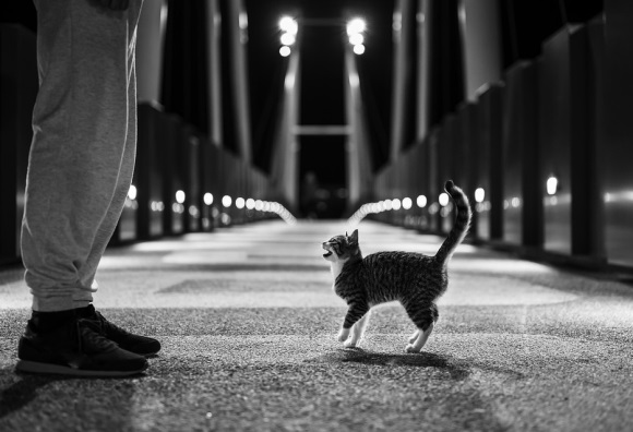 靠自己的短句子 形容自己的短句子(精选62句)