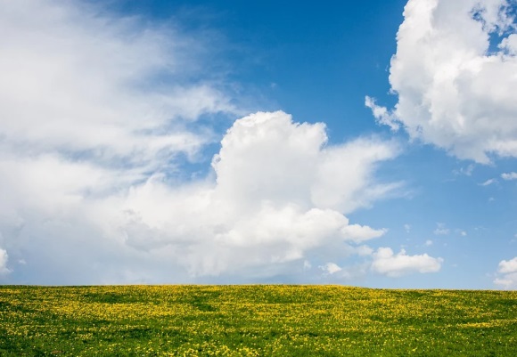 想家的说说的思念之情 想家的思念句子(精选37句)