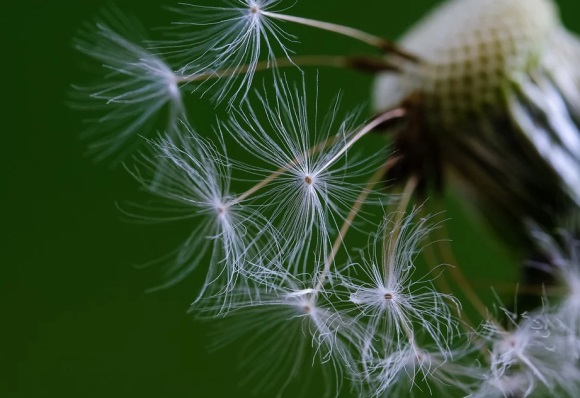 描写关于秋天的优美句子摘抄，描写秋天景色优美句子