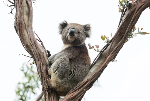 适合无奈时发朋友圈的句子(精选52句)