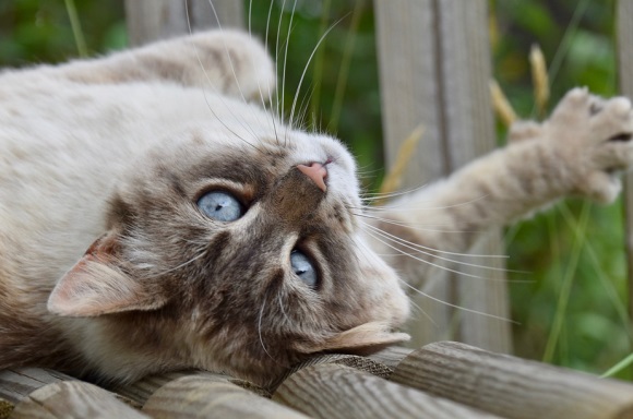 温柔伤感的女生网名(共216个)