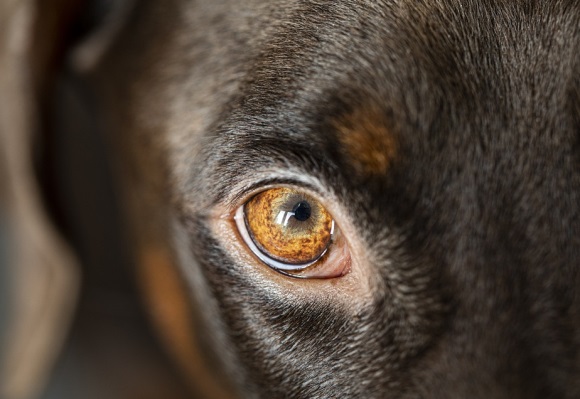 很有个性的男生伤感昵称两个字(优选703个)