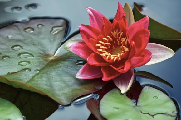 唯独专宠你的情侣名(共169个)