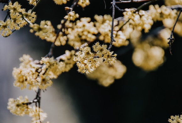 抖音热门英文网名(优选197个)