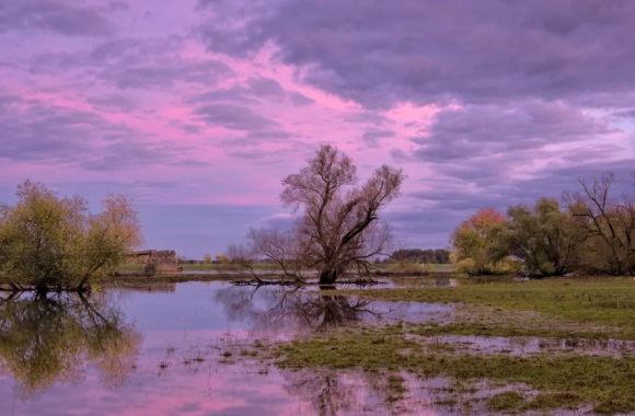 个性可爱的女生非主流名字大全(共189个)