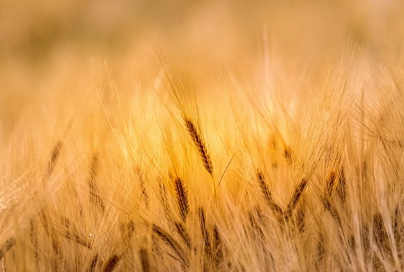 又冷漠又霸气又好听的名字(444个)