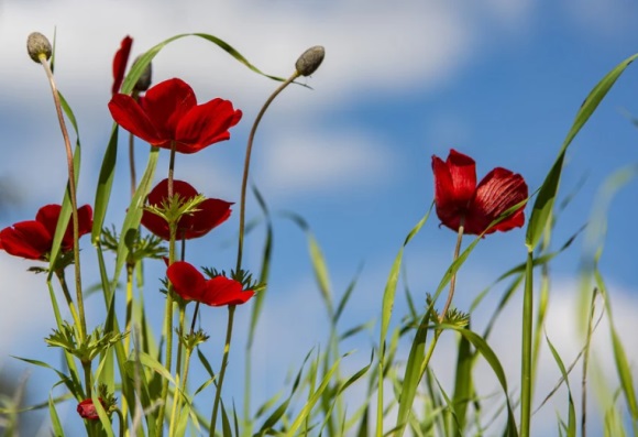 好听小清新情侣名字大全(共96个)