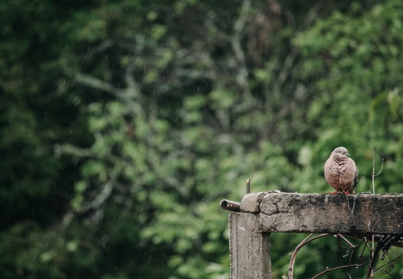 文艺有深度的网名(精选216个)