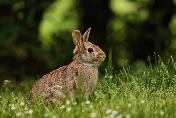 暖心的二字网名(共285个)