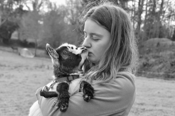 好听的繁体字女生网名(精选210个)