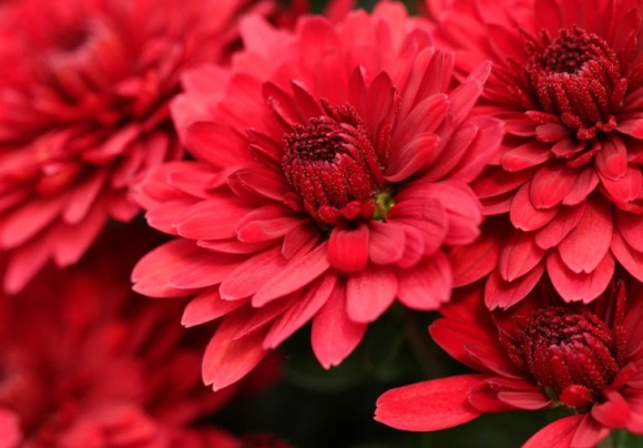 很冷艳的唯美雪字网名181个