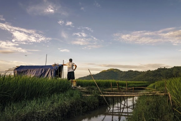 非常好听的网名两个字(共260个)