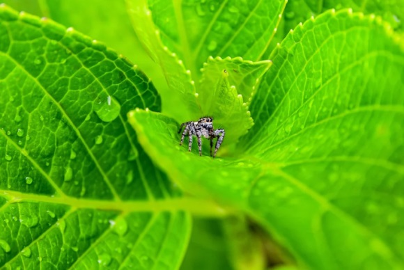 暗黑系冷酷超拽女生网名(精选199个)