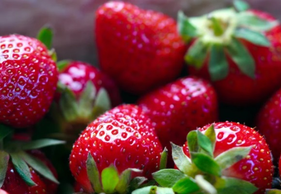 一路走好天堂安息哀悼的句子