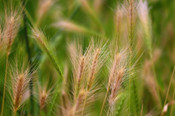 最新夫妻相濡以沫的句子经典