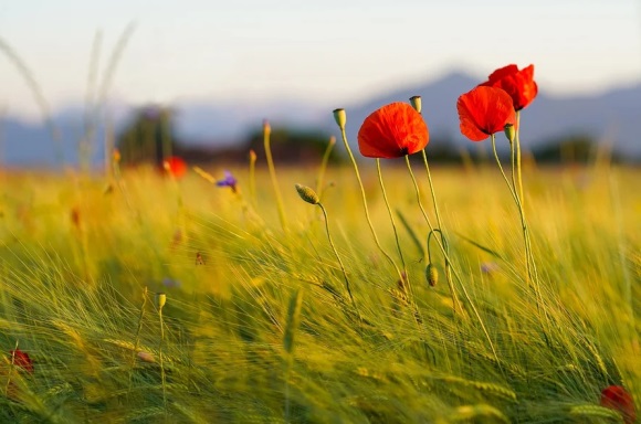 分享给自己的句子励志语录(收藏60句)