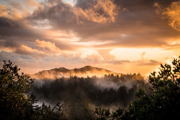伤感的离别的句子(精选50条)