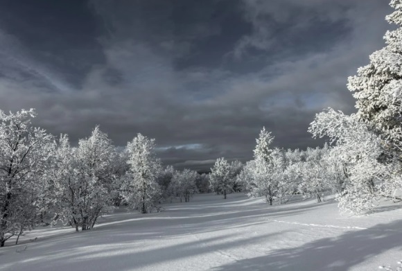 送给朋友离别的句子22条