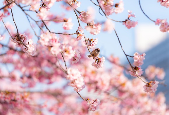 关于父亲节的暖心句子28条