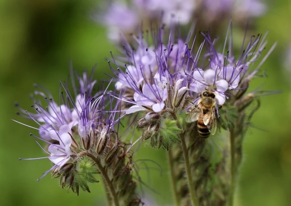 祝节日快乐的简短句子19条