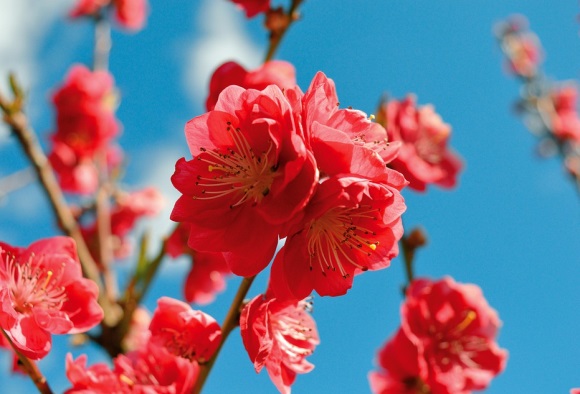 情人节感人的句子精选